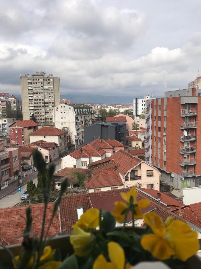 Belvedere Ni 外观 照片