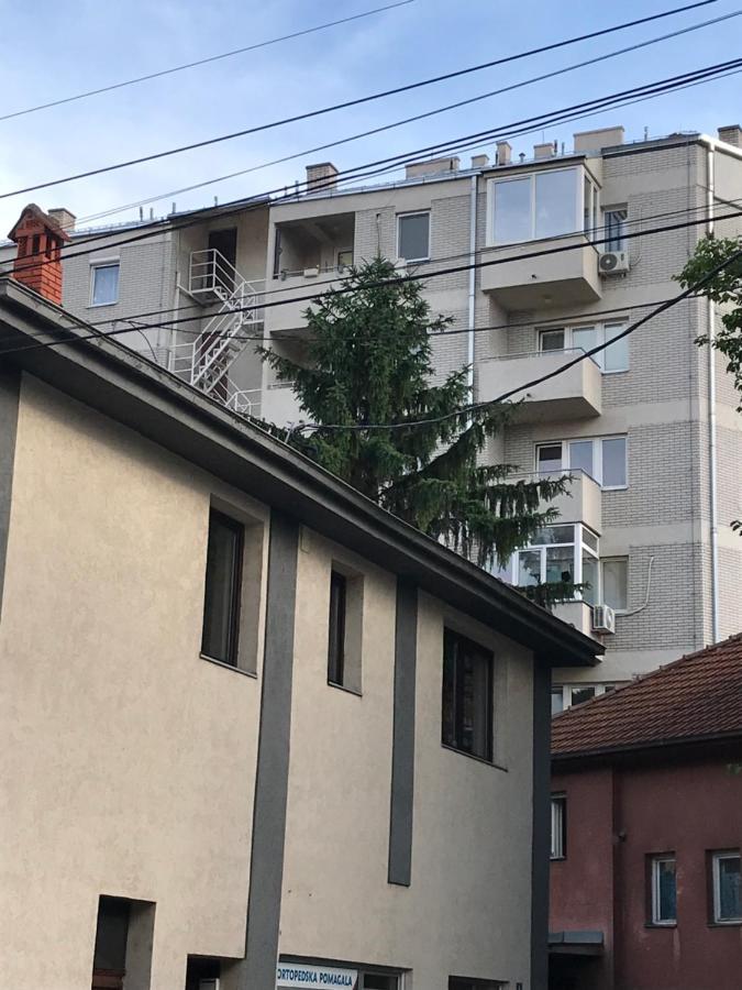 Belvedere Ni 外观 照片
